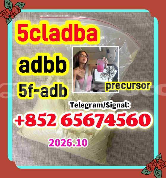 Big with watermark qefergetrg