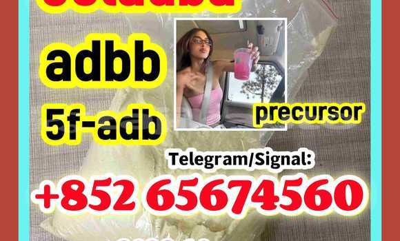 Medium with watermark qefergetrg