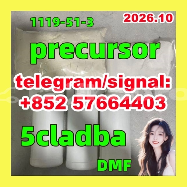 Big with watermark 511