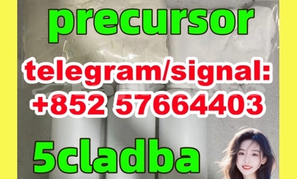 Medium with watermark 511