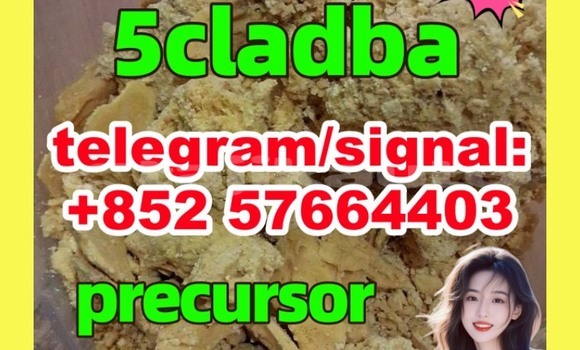Medium with watermark 57