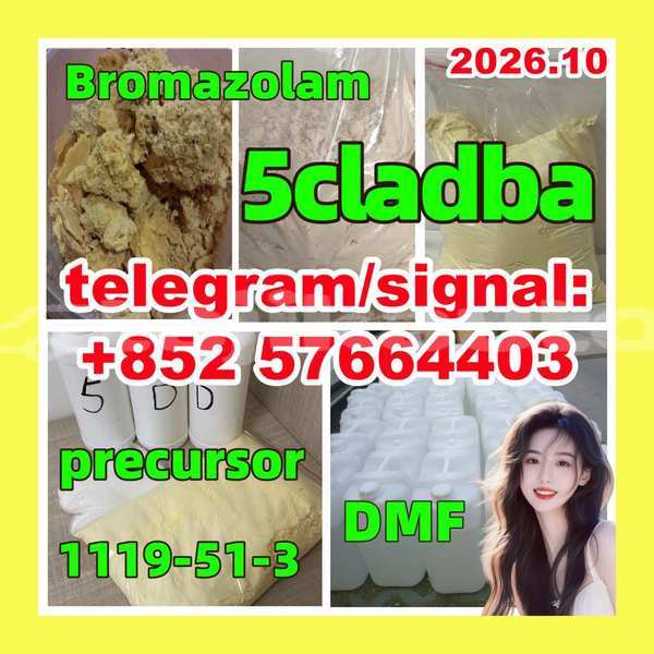 Big with watermark 513
