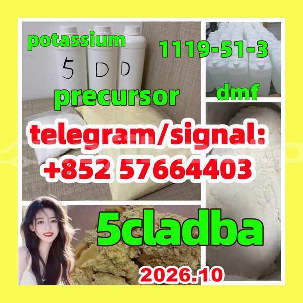 Big with watermark 56