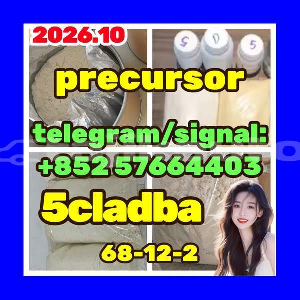 Big with watermark 56