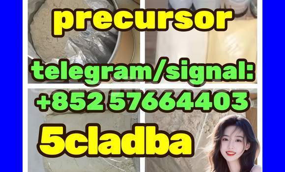 5cladba precursor 