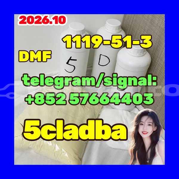 Big with watermark 53