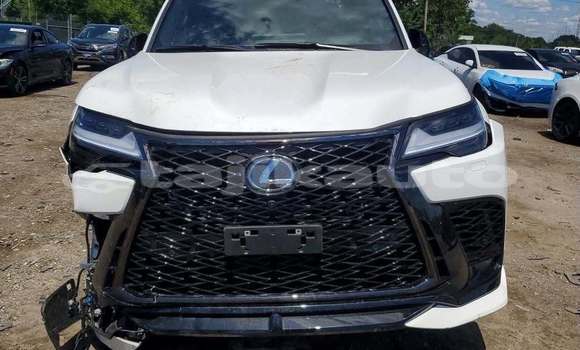Buy Used Lexus LX White Car in Chkalov in Sughd