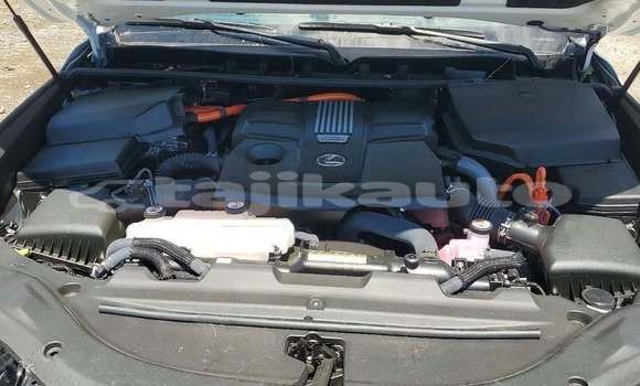 Buy Used Lexus LX White Car in Chkalov in Sughd Buy Used Lexus LX White Car in Chkalov in Sughd