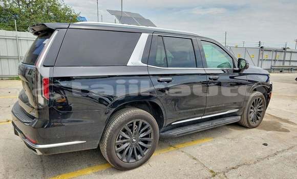 Buy Used Cadillac Escalade Black Car in Chorku in Sughd Buy Used Cadillac Escalade Black Car in Chorku in Sughd