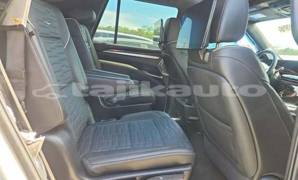 Buy Used Cadillac Escalade White Car in Chkalov in Sughd Buy Used Cadillac Escalade White Car in Chkalov in Sughd