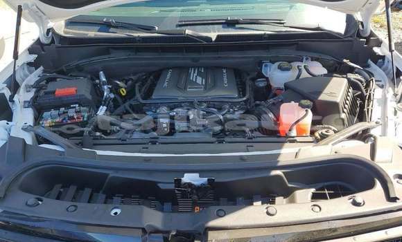 Buy Used Cadillac Escalade White Car in Chkalov in Sughd Buy Used Cadillac Escalade White Car in Chkalov in Sughd