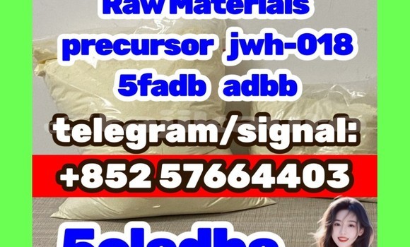Medium with watermark 51