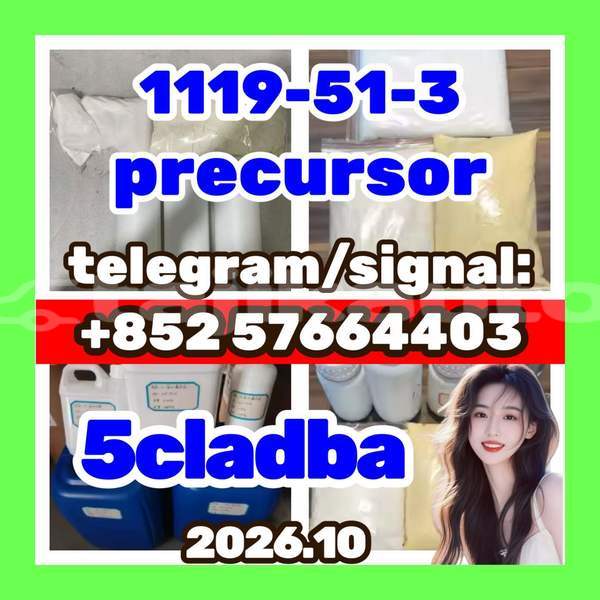 Big with watermark 511