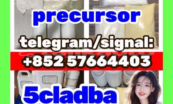 Medium with watermark 511