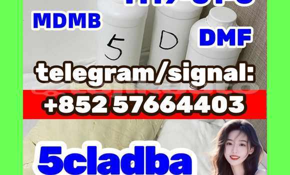 Medium with watermark 52