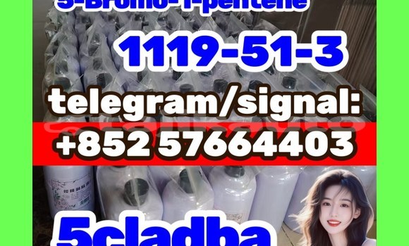1119-51-3 5-Bromo