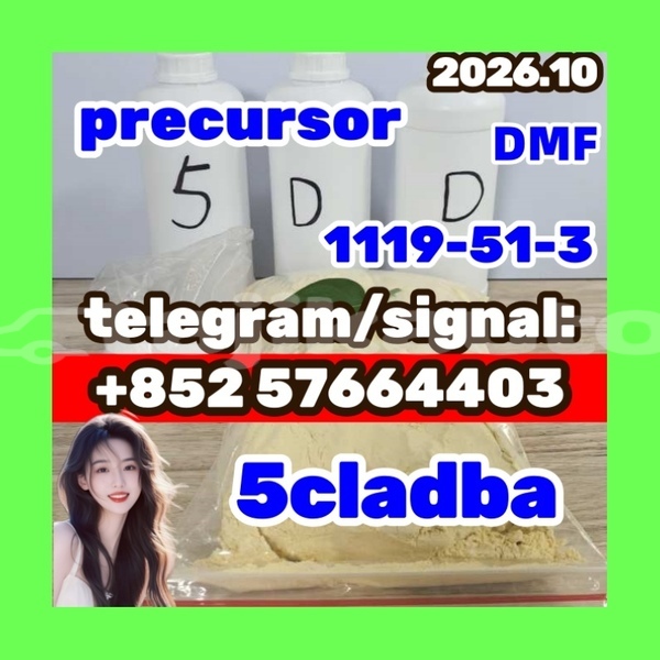 Big with watermark 55