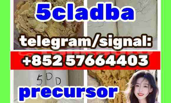 Medium with watermark 510