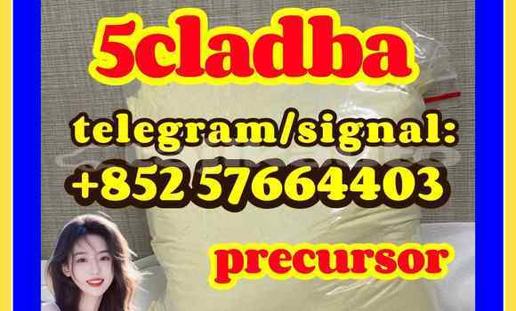 Medium with watermark 51