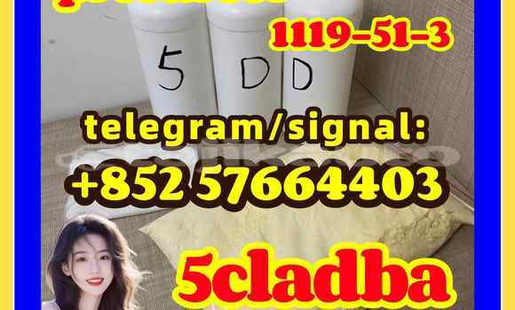 Medium with watermark 52