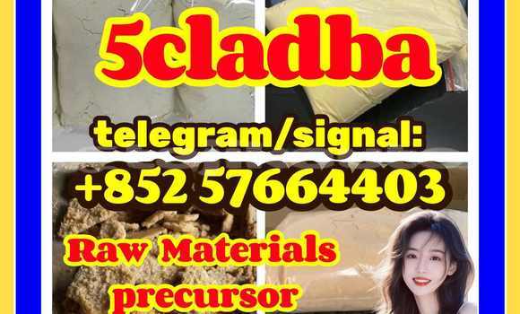Medium with watermark 53