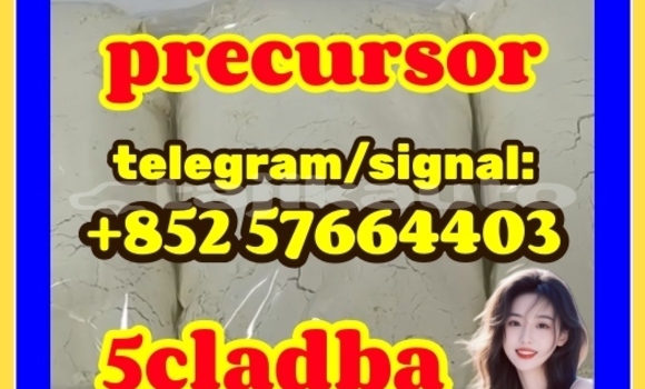 Medium with watermark 55
