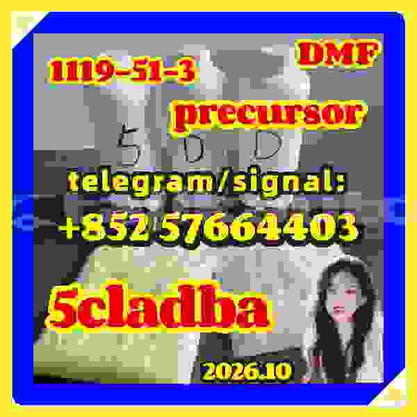 Big with watermark 56