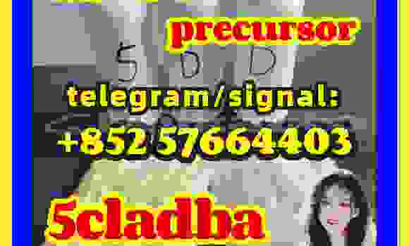 Medium with watermark 56