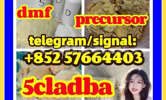 Medium with watermark 57