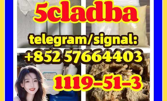 Medium with watermark 58