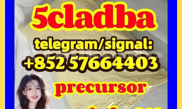 Medium with watermark 59