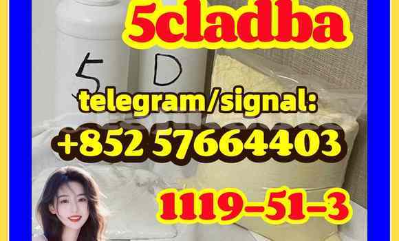 Medium with watermark 510