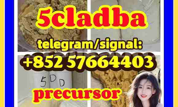 Medium with watermark 511