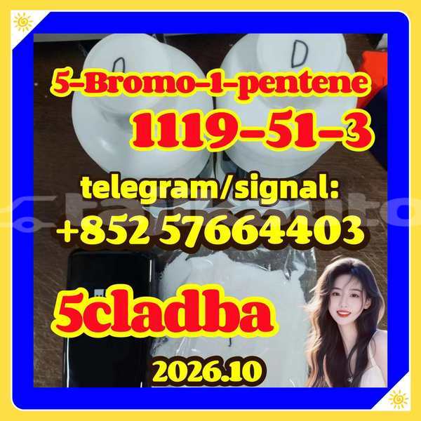 Big with watermark 512