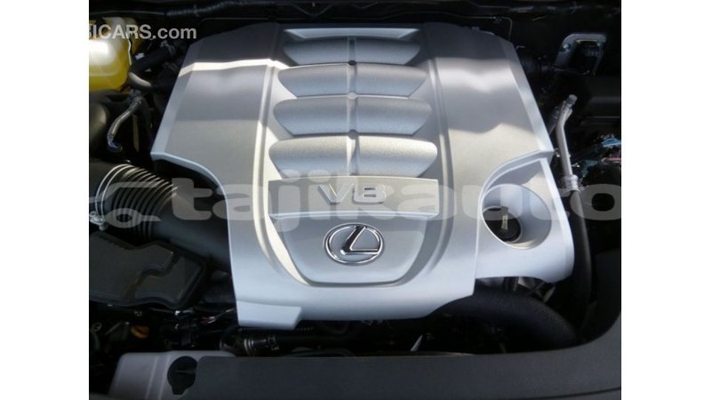 Big with watermark 8df2142a 4978 47ba 9009 b89e7e468bdf