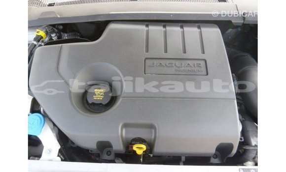 Buy Import Jaguar E-Pace White Car in Import - Dubai in Dushanbe Buy Import Jaguar E-Pace White Car in Import - Dubai in Dushanbe