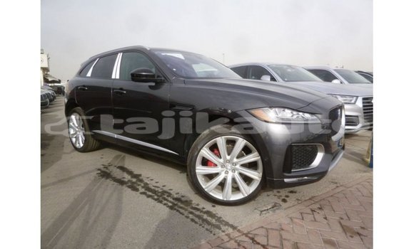 Buy Import Jaguar F-Type Black Car in Import - Dubai in Dushanbe