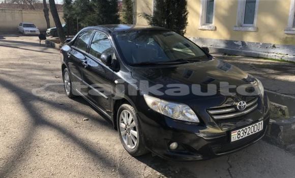 Buy Used Toyota Corolla Black Car in Dushanbe in Dushanbe
