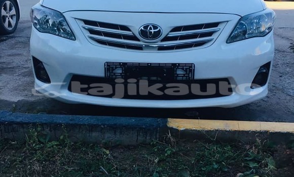 Buy Used Toyota Corolla White Car in Dushanbe in Dushanbe