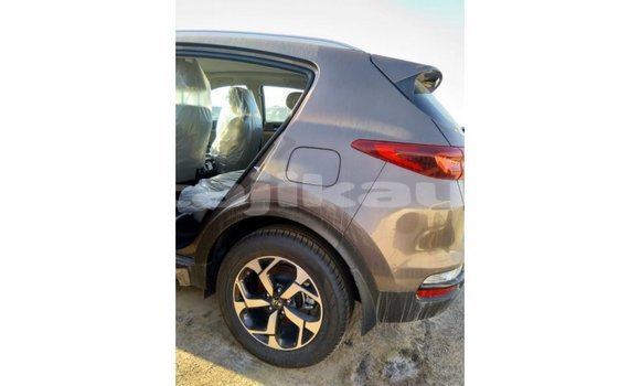 Buy Import Kia Sportage Brown Car in Import - Dubai in Dushanbe Buy Import Kia Sportage Brown Car in Import - Dubai in Dushanbe
