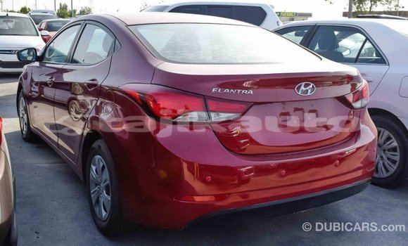 Buy Import Hyundai Elantra Red Car in Import - Dubai in Dushanbe Buy Import Hyundai Elantra Red Car in Import - Dubai in Dushanbe
