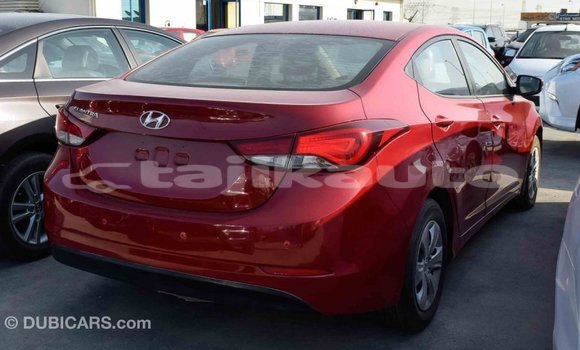 Buy Import Hyundai Elantra Red Car in Import - Dubai in Dushanbe Buy Import Hyundai Elantra Red Car in Import - Dubai in Dushanbe