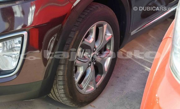 Buy Import Kia Sorento Brown Car in Import - Dubai in Dushanbe Buy Import Kia Sorento Brown Car in Import - Dubai in Dushanbe