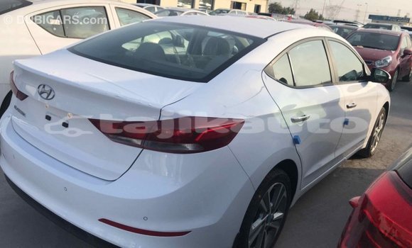 Buy Import Hyundai Elantra White Car in Import - Dubai in Dushanbe Buy Import Hyundai Elantra White Car in Import - Dubai in Dushanbe