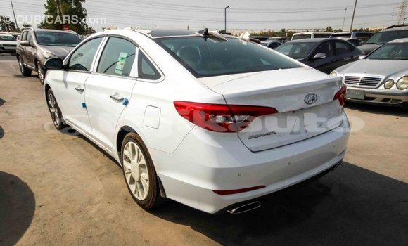 Buy Import Hyundai Sonata White Car in Import - Dubai in Dushanbe Buy Import Hyundai Sonata White Car in Import - Dubai in Dushanbe