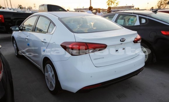 Buy Import Kia Cerato White Car in Import - Dubai in Dushanbe Buy Import Kia Cerato White Car in Import - Dubai in Dushanbe