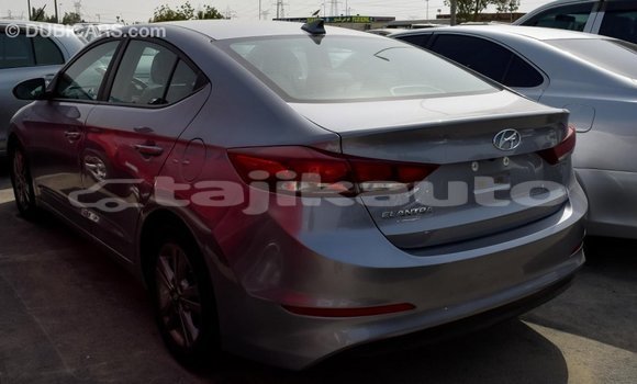 Buy Import Hyundai Elantra Other Car in Import - Dubai in Dushanbe Buy Import Hyundai Elantra Other Car in Import - Dubai in Dushanbe