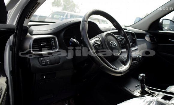 Buy Import Kia Sorento Other Car in Import - Dubai in Dushanbe Buy Import Kia Sorento Other Car in Import - Dubai in Dushanbe