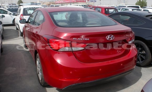 Buy Import Hyundai Elantra Red Car in Import - Dubai in Dushanbe Buy Import Hyundai Elantra Red Car in Import - Dubai in Dushanbe