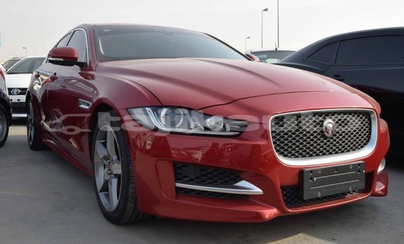 Buy Import Jaguar XE Red Car in Import - Dubai in Dushanbe